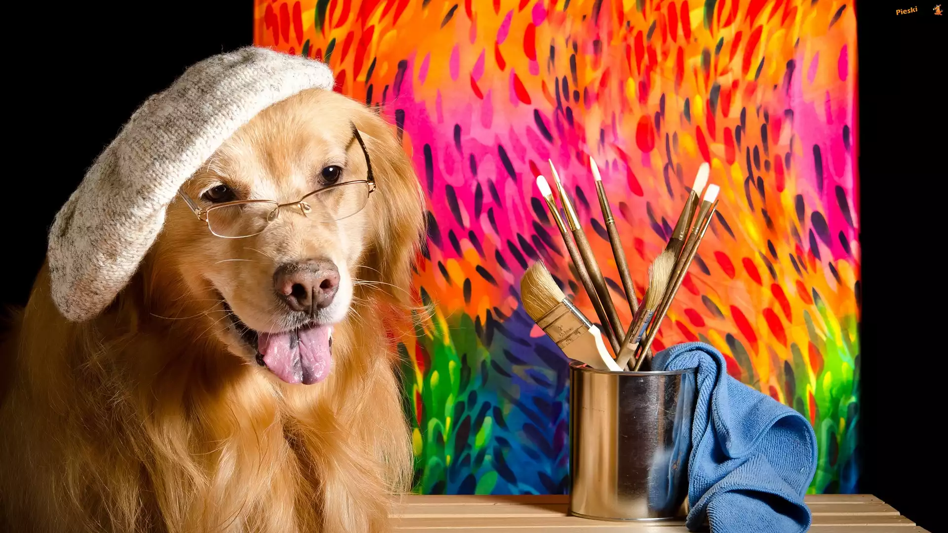 Pędzelki, Pies, Kubek, Szmatka, Czapka, Golden retriever, Okulary, Obraz